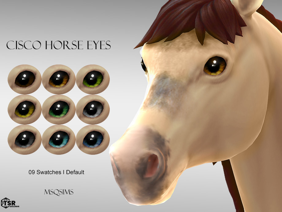 Cisco Horse Eyes