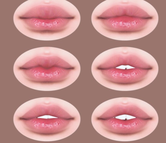 Lips presets n23-30