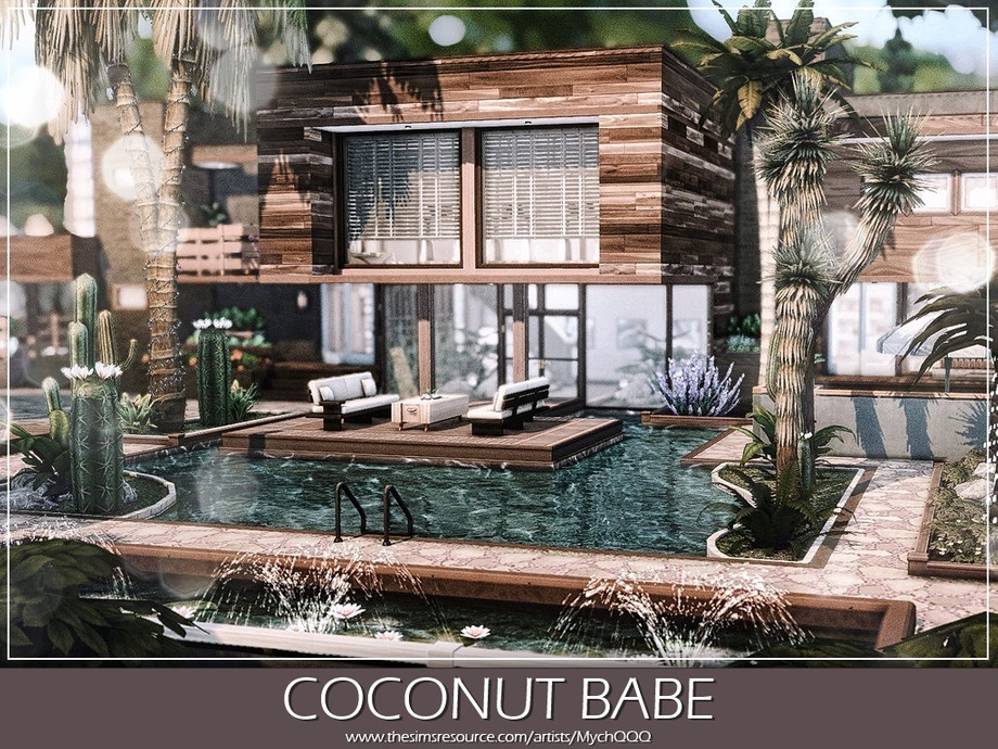 Coconut Babe