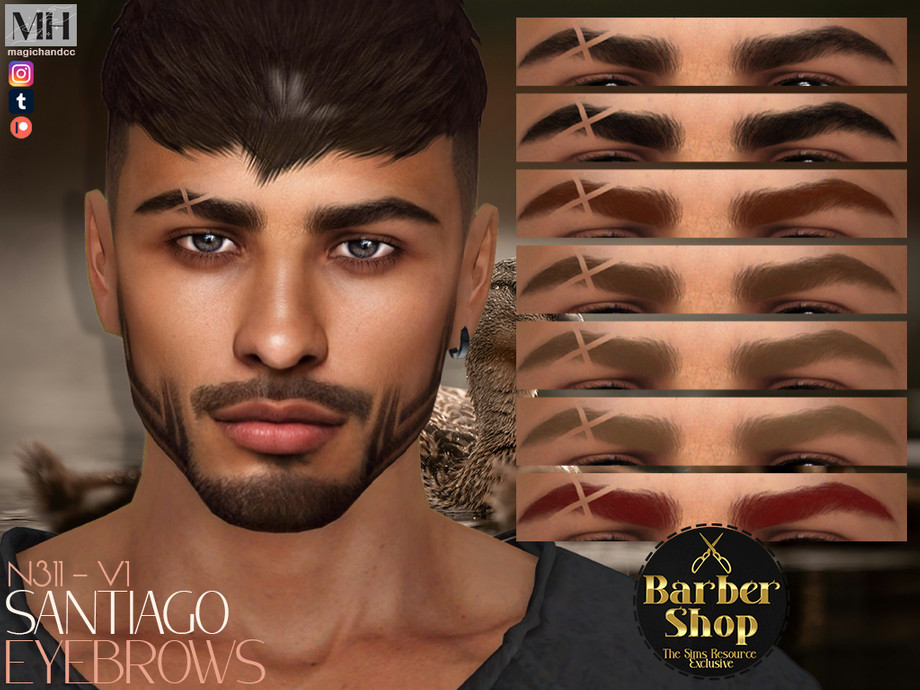Santiago Eyebrows N311 – V1 (Right)